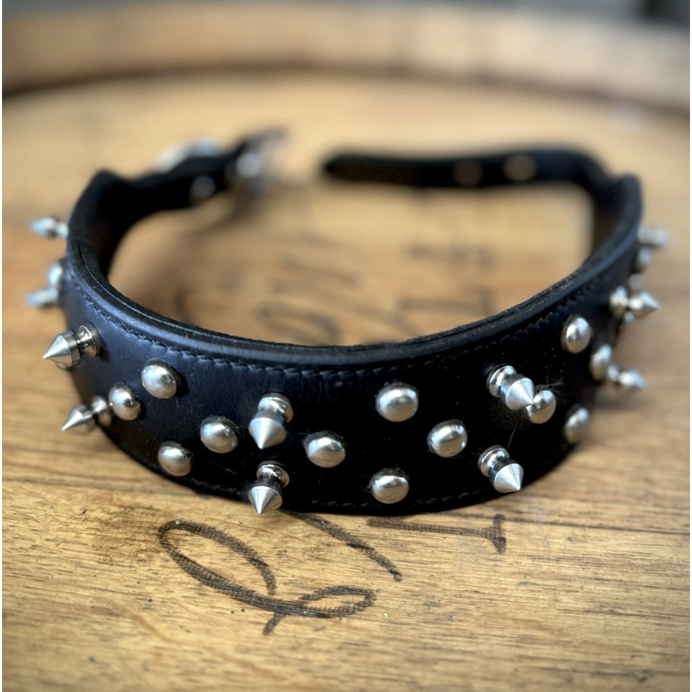 Weaver leather spike dog collar, never used.